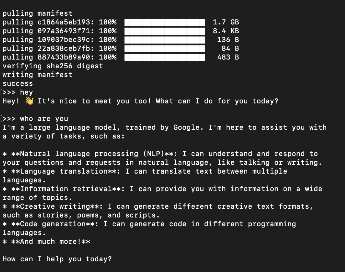 Running a small model locally